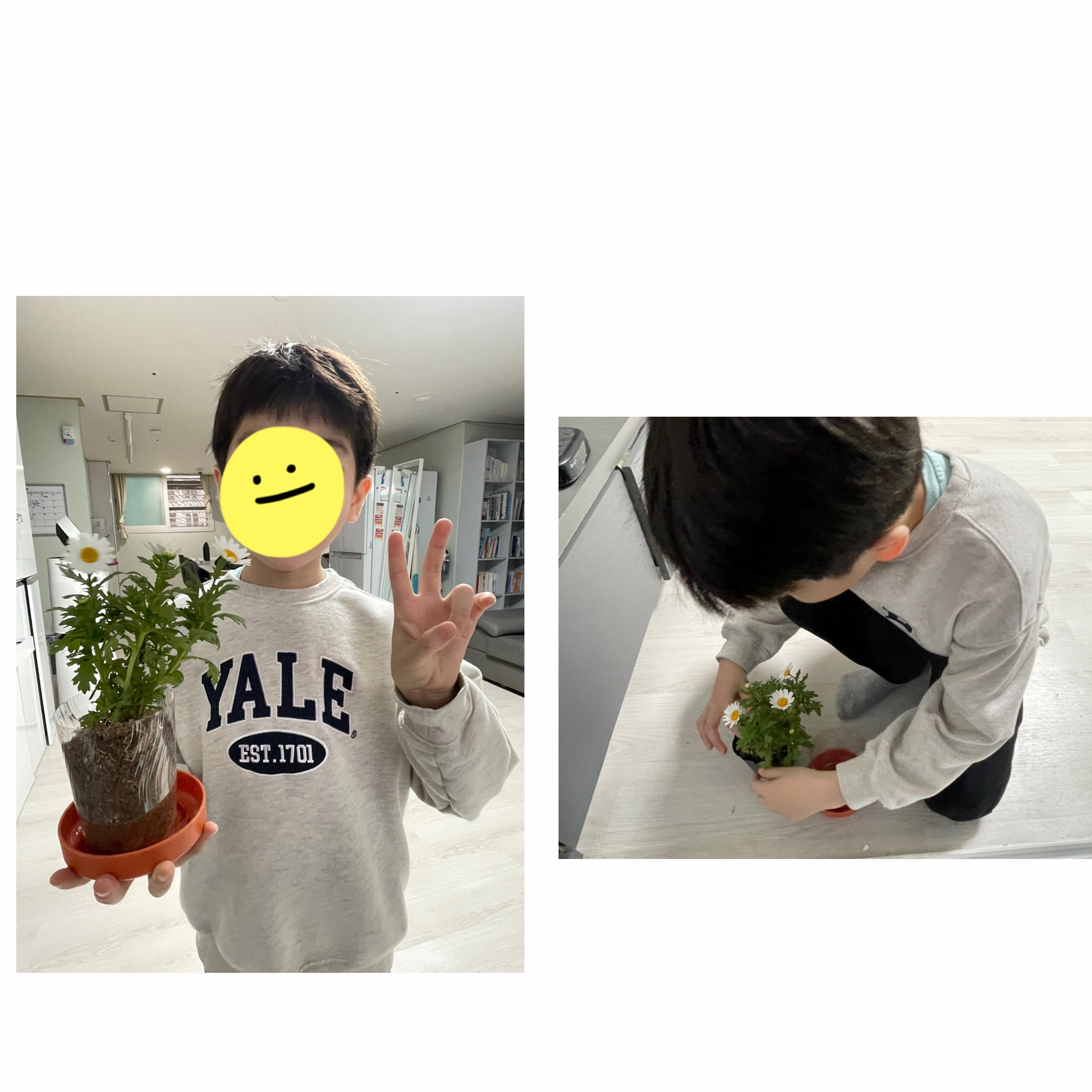 꽃처럼 예쁜 지훈이